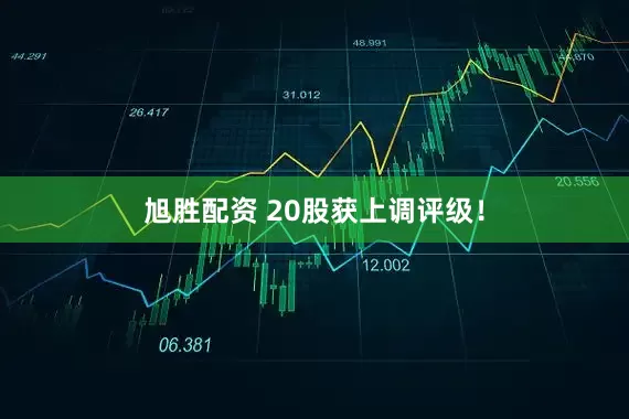 旭胜配资 20股获上调评级！
