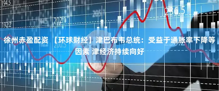 徐州赤盈配资 【环球财经】津巴布韦总统：受益于通胀率下降等因素 津经济持续向好