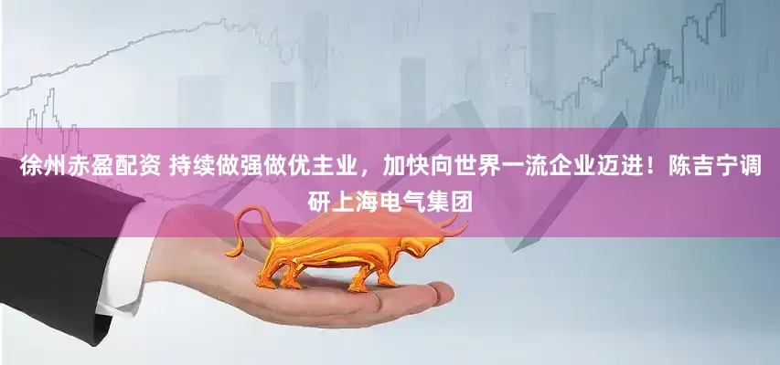 徐州赤盈配资 持续做强做优主业，加快向世界一流企业迈进！陈吉宁调研上海电气集团