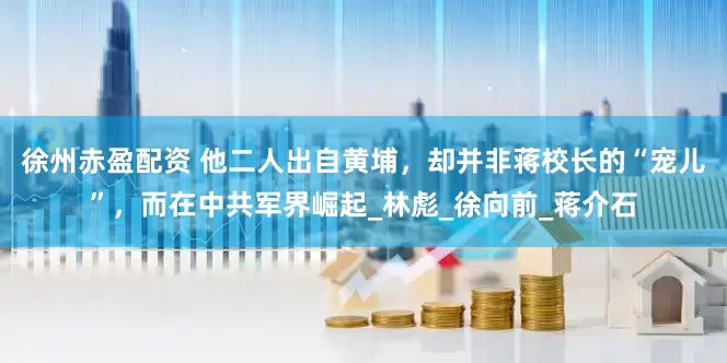 徐州赤盈配资 他二人出自黄埔，却并非蒋校长的“宠儿”，而在中共军界崛起_林彪_徐向前_蒋介石