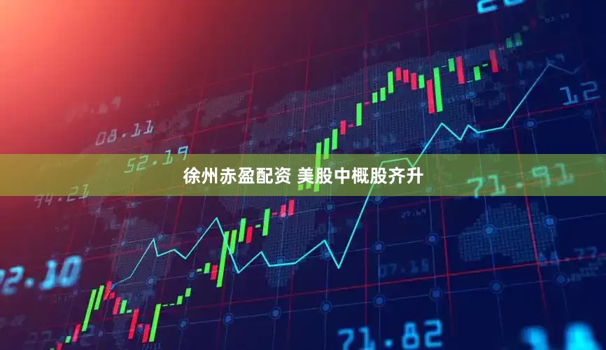 徐州赤盈配资 美股中概股齐升