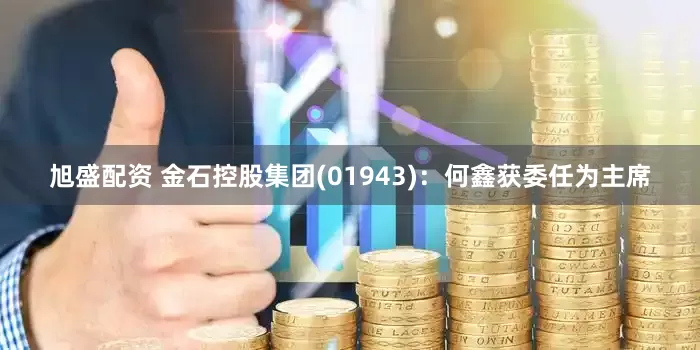 旭盛配资 金石控股集团(01943)：何鑫获委任为主席